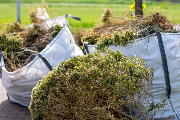 Best Dumpster Rental Services  in Mechanicsville, VA
